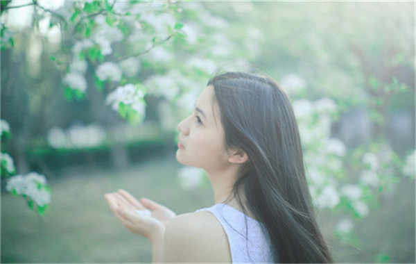 始兴验血查男女几周可以验(验血查男女结果图)